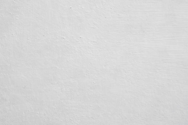 Best Attic Mold Removal  in Rheems, PA