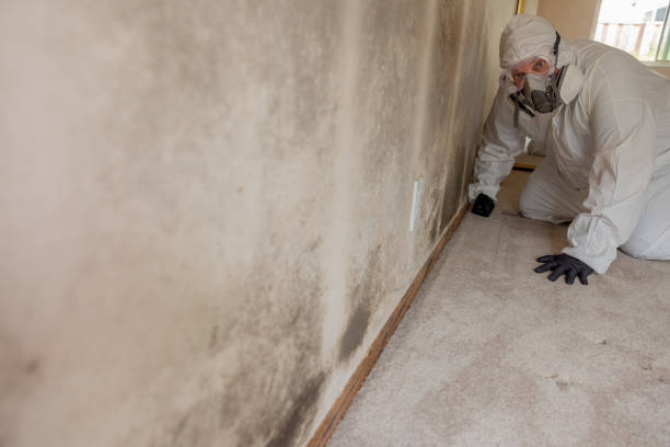 Best Crawl Space Mold Remediation  in Rheems, PA