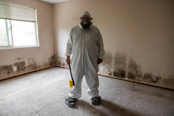 Best Mold Removal for HVAC Installations  in Rheems, PA