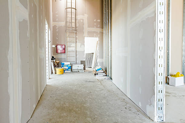 Forensic Mold Investigation in Rheems, PA