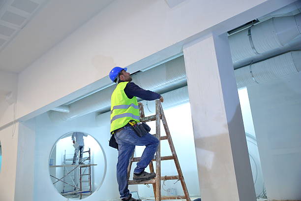 Best Mold Damage Restoration  in Rheems, PA