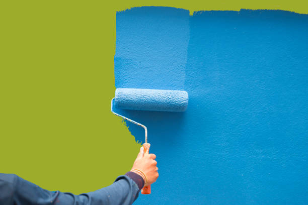 Reliable Rheems, PA Mold Removal Solutions